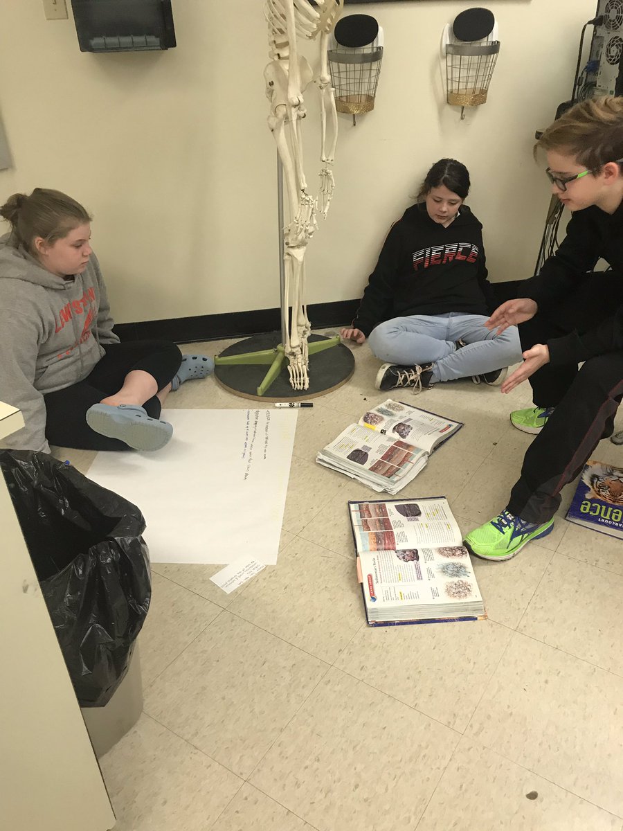 DayClassroom's tweet photo. I’m a couple days late posting these, but we created posters about sedimentary rocks. #LtownCES https://t.co/jUna3HEUvW