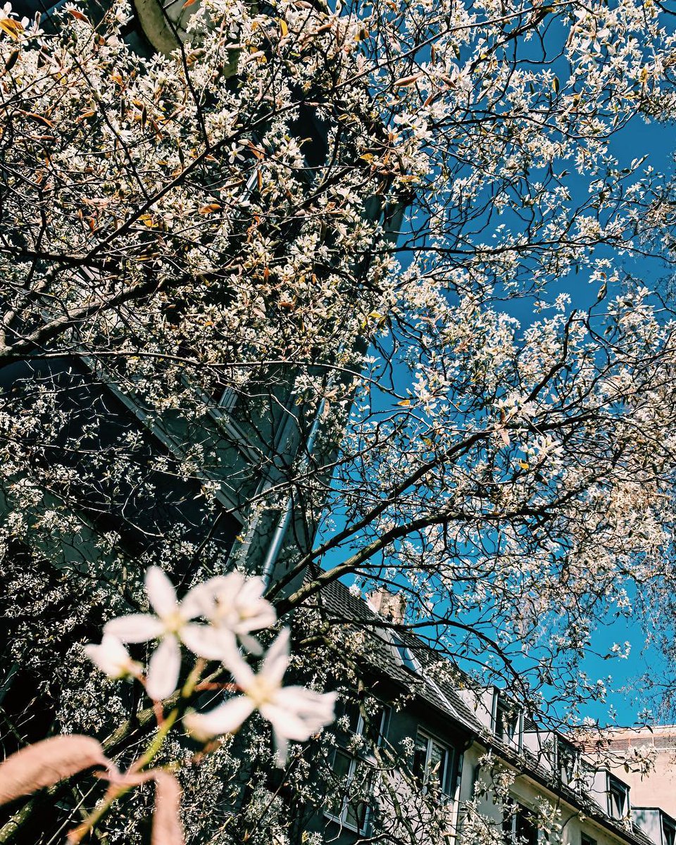 MatokiAwake's tweet photo. #BANGYONGGUK #COLOGNE #BOGEN2 #EUROPE #TOUR2019 ig  29.03.19 https://t.co/Xldb7XbJTi