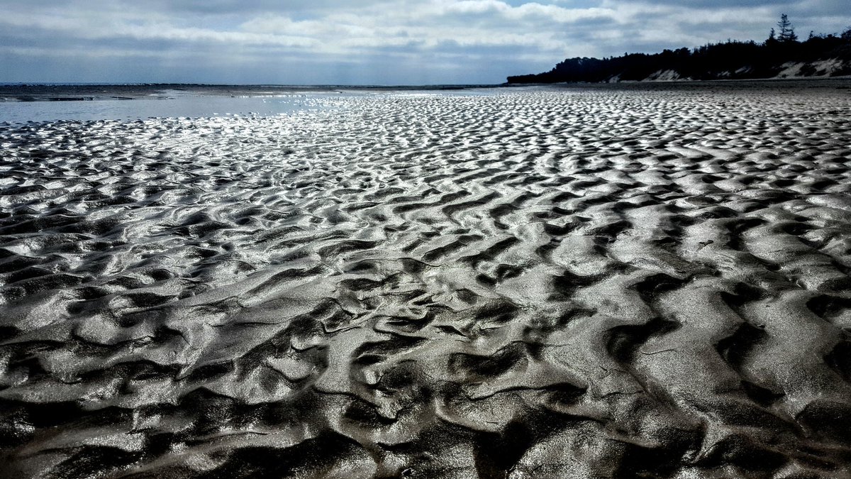 ClaireyFaery78's tweet photo. View of the Raven. #wexford #curracloebeach #ravenpoint #ripples #ireland #friday https://t.co/ffunfEYiuZ