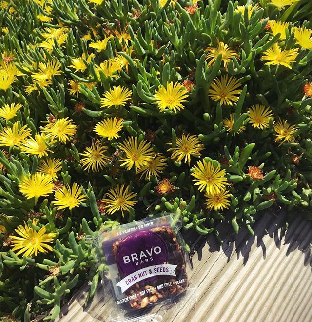 BravoBars's tweet photo. Clean protein bars for better recovery and nutrition, Bravo Bars are a soft baked optimal snack to fuel your day (or weekend 😉).
#BravoBars #glutenfree #weekendvibes https://t.co/hEVap7hJOJ https://t.co/5fBX7rTPps