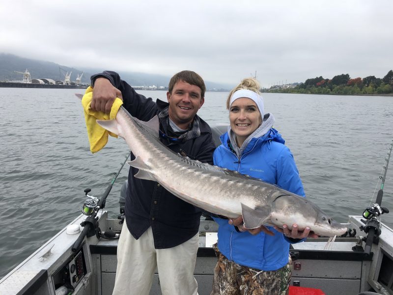 NWFISHINGNEWS's tweet photo. States set dates for sturgeon retention on the Lower Columbia River https://t.co/s5Ad94XCtO https://t.co/4UpP5e56N4
