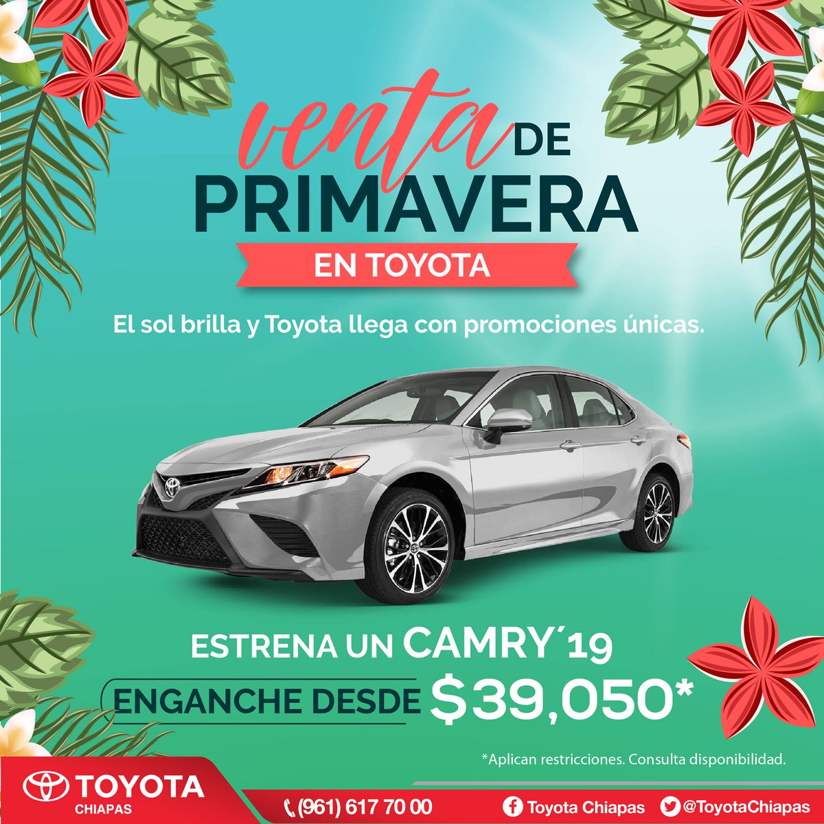 ToyotaChiapas's tweet photo. Estrena en Toyota Chiapas con los beneficios que tenemos para ofrecerte, además de los mejores enganches y bonos en vehículos seleccionados✨🚗⭐
🌿🌸🌱¡Solicita una cotización!🌿🌸🌱
*Aplican restricciones, consulta las bases https://t.co/EL7dQFpgFx
