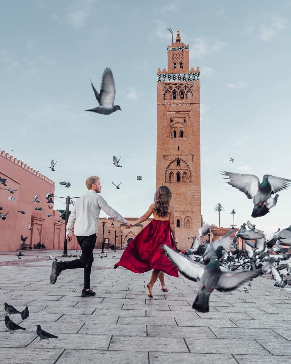 FairmontRPM's tweet photo. Escape the ordinary ✨
📸: @jovi_travel
#FairmontMarrakech #FairmontMoments #Marrakech #MarrakechWonders #RedCity #Morocco #Koutoubia #UnforgettableSpring #Spring #SpringHolidays #Holidays #Family #PerfectWeather #uncommontraveler #lhwtraveler @LeadingHotels @FairmontHotels https://t.co/IKOcGwGPZ4