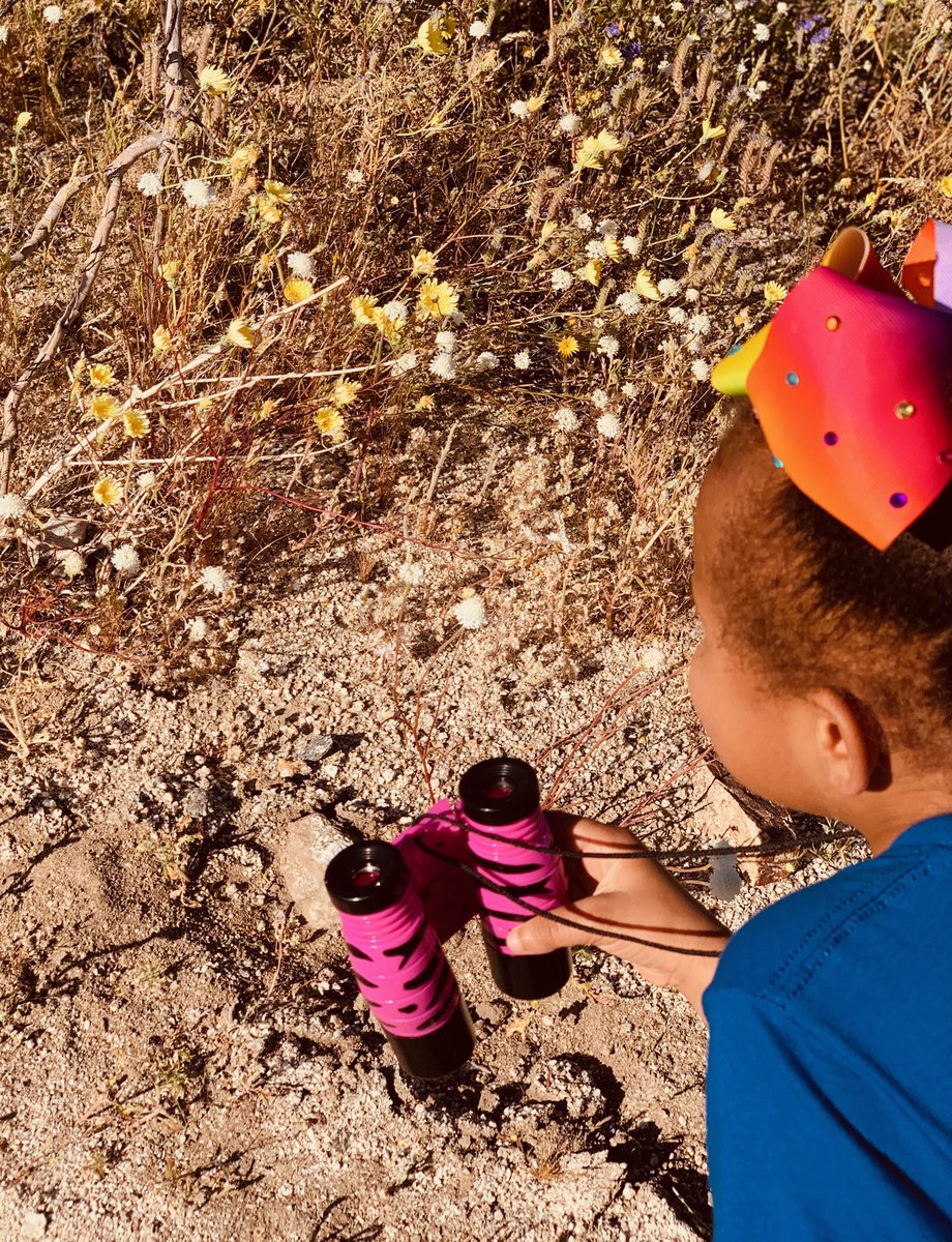 JustAManTrying's tweet photo. She said “Papi, let’s pretend I’m an expert on butterflies and desert plants” #futurebotanist #EnvironmentalJustice #girlpower #BlackGirlMagic #DesertLife #superbloom2019 #ricewilsonspringbreak2019 #LoveHer #AnzaBorregoDesertStatePark https://t.co/kGvzqPTgaw