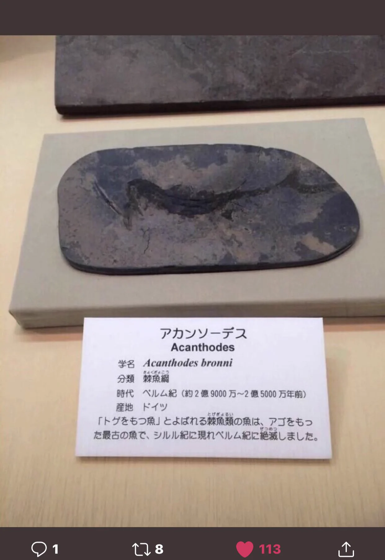 お前、そんな名前だったのか選手権の入選作品はこちらww