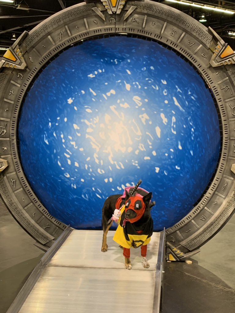 dickson_kieran's tweet photo. How happy would you be if you worked at @stargatecommand and you heard “Unscheduled off-world activation” then this little guy hoped through the gate? #Stargate #WonderCon https://t.co/WkqImDE8tM