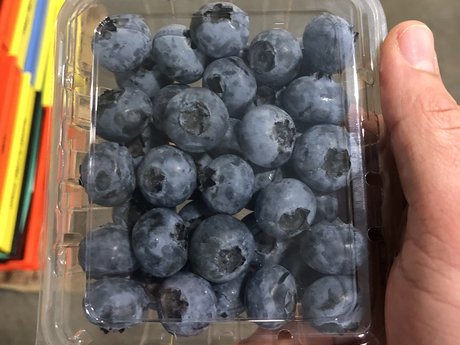 FreshPlaza_com's tweet photo. Mexican and domestic production bring strong quality blueberries @GourmetTrading
https://t.co/TU7kx08deV https://t.co/fZy2mLGvW7