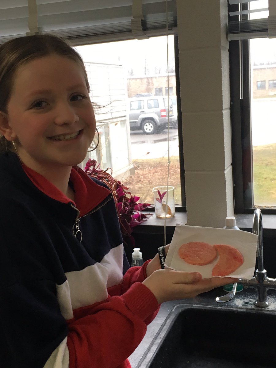Students were asked to create a product to show their understanding of the sickle cell mutation. Olivia made some yummy cookies (and typed a nice explanation). #choiceandvoice