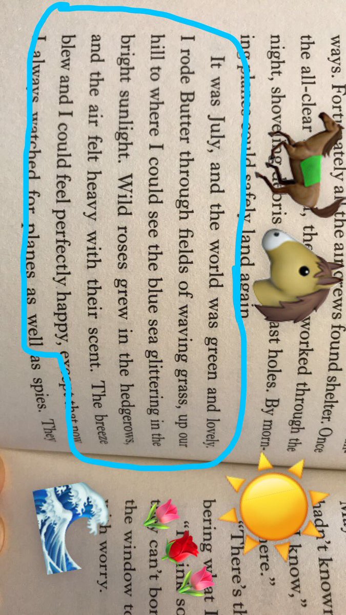 BaileyMoody15's tweet photo. Highly recommend reading “The War That Saved My Life.” #dsu360 #BooksnapROD https://t.co/RZlyAvGPUZ