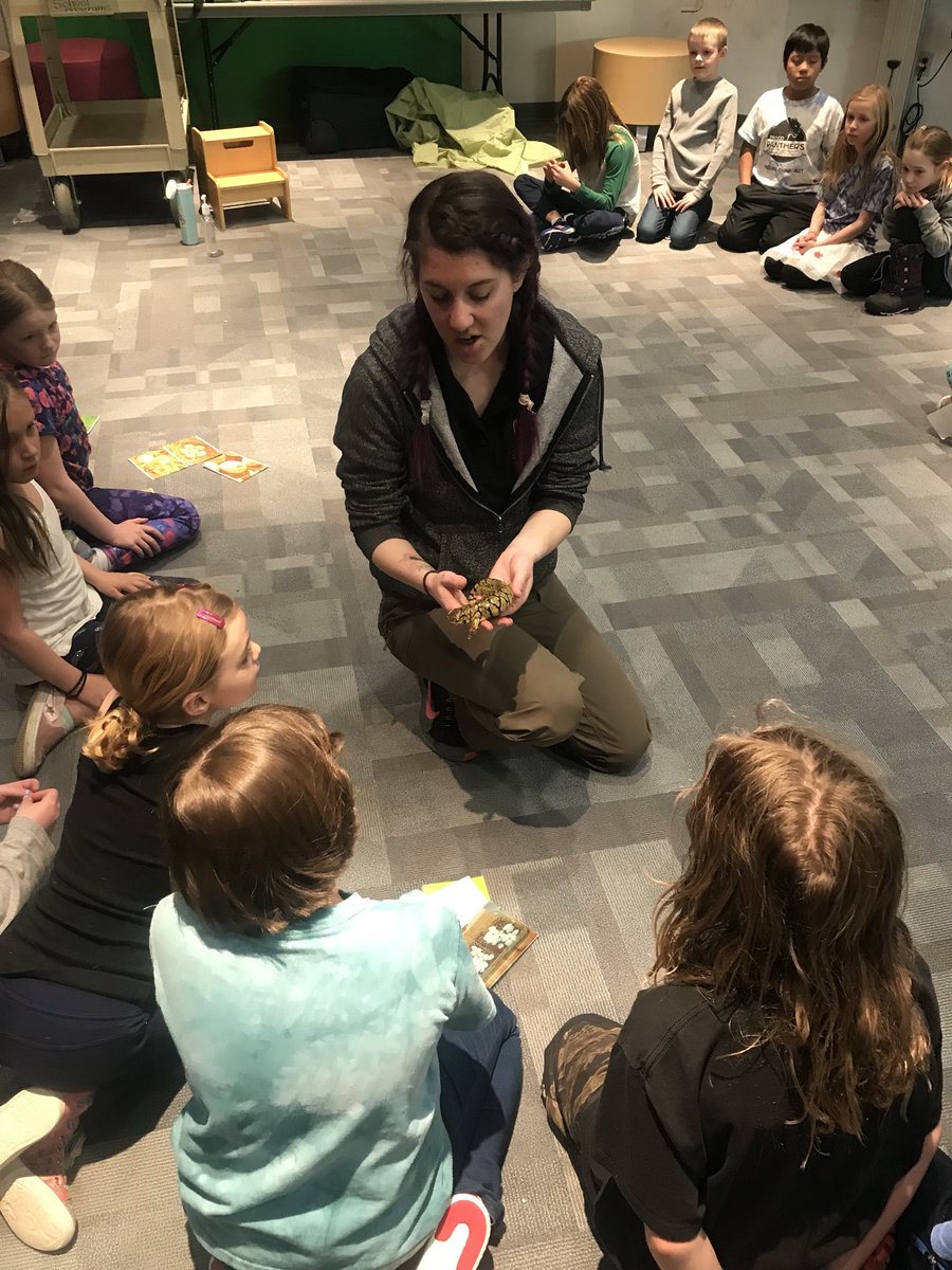FRE_MsKarbach's tweet photo. #flashbackfriday to our field trip with Keystone Science School to learn about the cycles of the forest! And to our visit from the Denver Zoo to enhance our knowledge life cycles with real critters! https://t.co/8usn0MzyZe