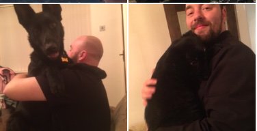 He’s grown a little in 4 months 🐾❤️😱 @therealpaulbond