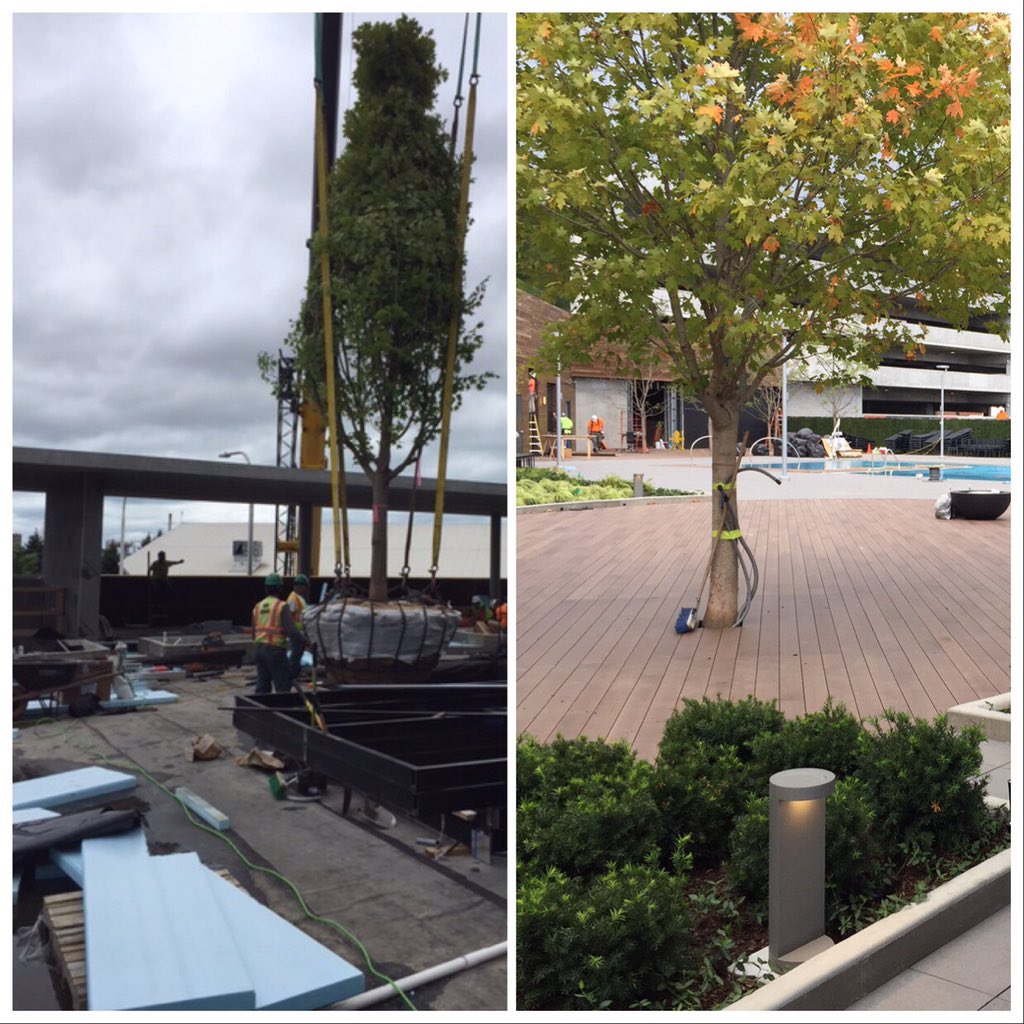 moorelandscapes's tweet photo. Standout from the rest with a #GreenRoof project that is sure to elevate your property’s appearance.
Let our experienced #ConstructionDivision consult, design and install to your needs.
#FindOutMoore
🚧 🚧 🏗 🚧🚧 https://t.co/wrX7jzktRS