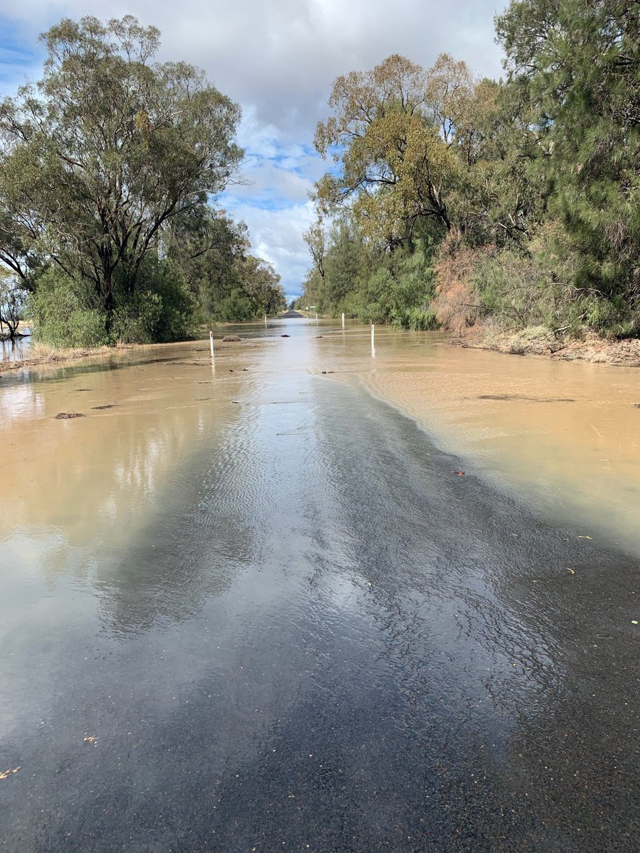 Ann-Maree Galagher tweet media