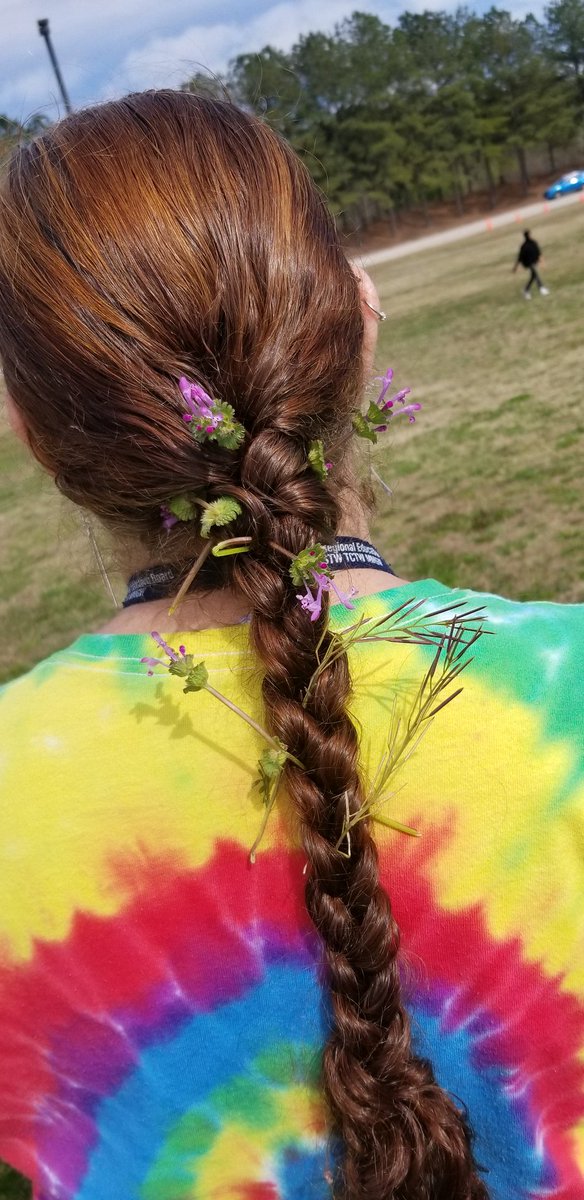 conleel09's tweet image. Decorated by my amazing students @stemehs