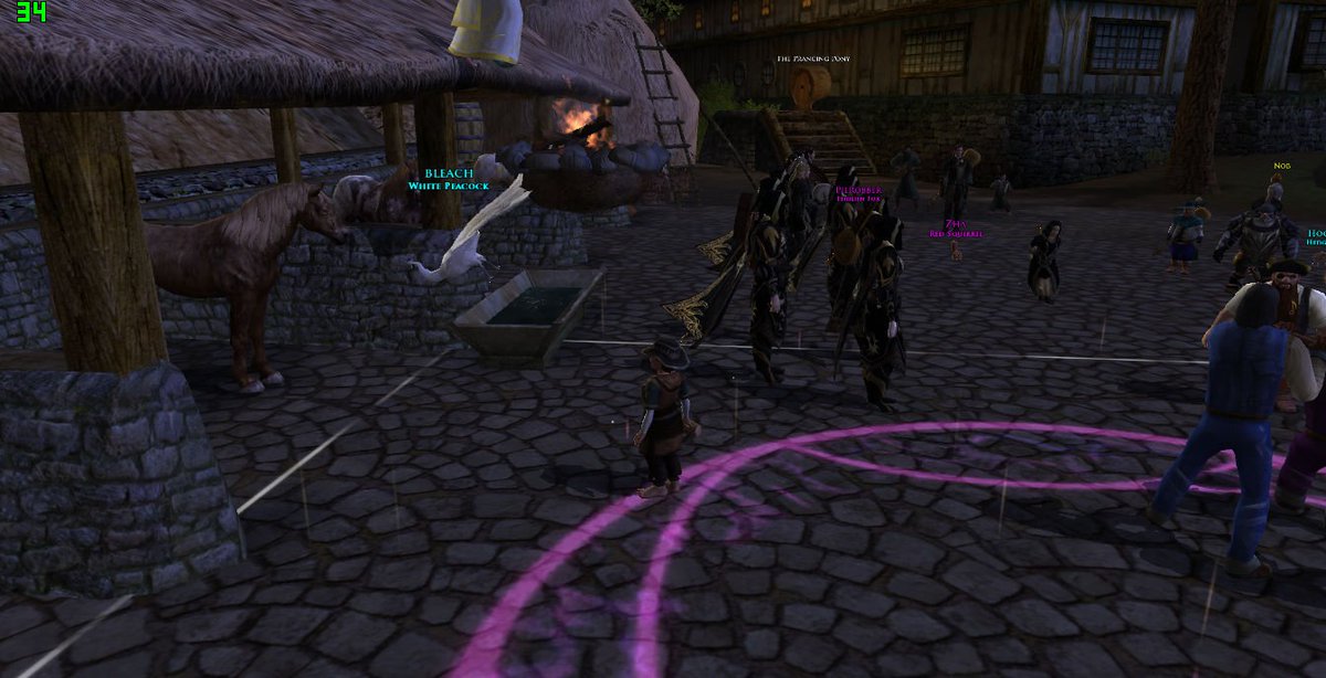 SWForce4EU's tweet image. This peacock has a fire on its tail. There must be a story here. #lotro #lotrofamily #BreadAndJam