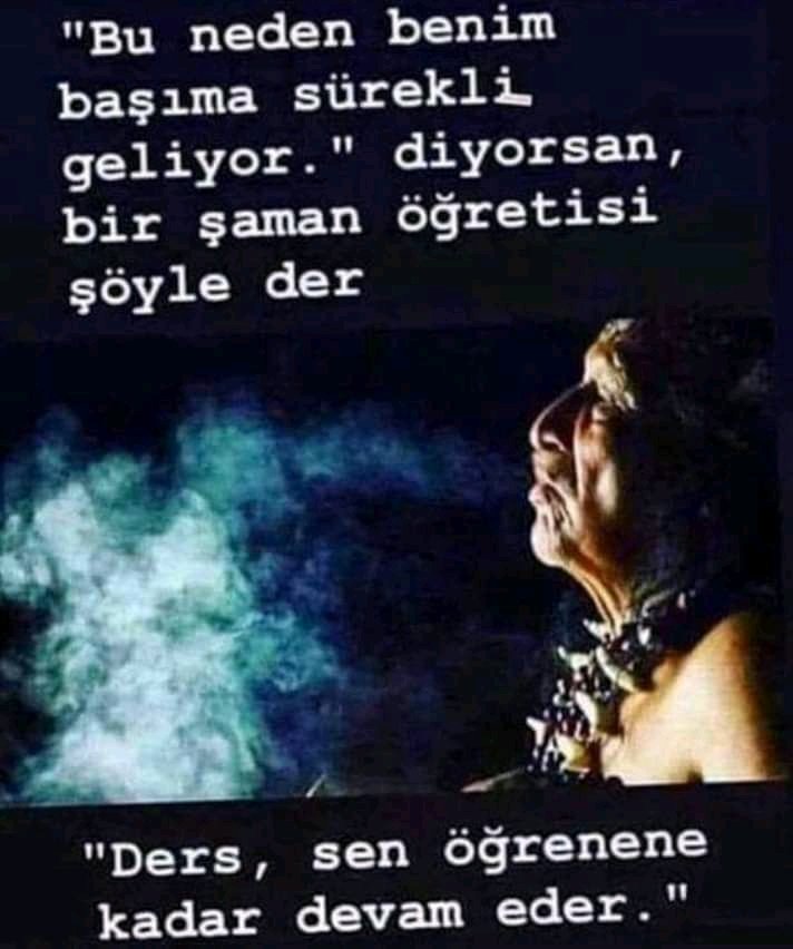 alitoglu12's tweet image. 