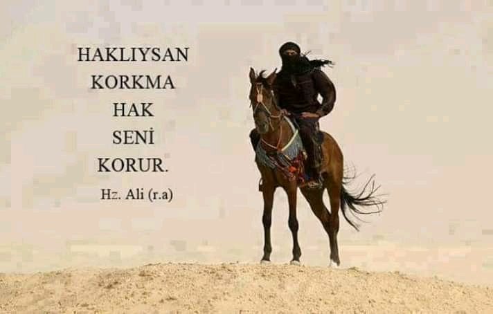 alitoglu12's tweet image. 