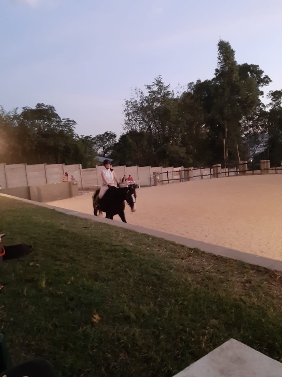 ELDoradostables's tweet photo. Fantastic Night dressage show last night 🌛 thank you to everyone for the support and well done to all the riders and horses for braving the show and riding at night ⭐️🐴 #eldoradostables #team #eldoradofamily #teameldoradostables #nightshow #show #dressage #fun #trainingshow https://t.co/lUxNSUBYqA