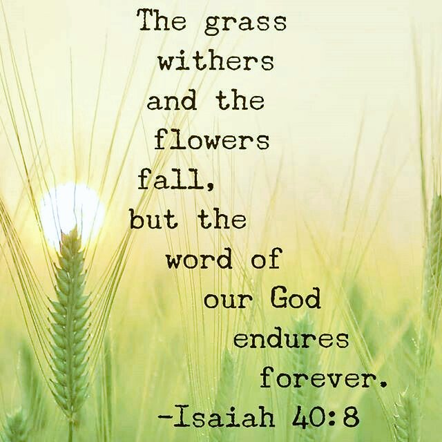 IsaaMobile1's tweet photo. @robyn_lance @RevLDReed @jlshine5 @JuliannebyGrace @FleeceWings @SylviaS43317546 @GabrielleMary55 @JUBILEE_7DOUBLE @DorisZelaya5 @JOEYKNOWSTOO @DavidTSummers3 @emmanuelobi476 @MRWILL53 @beverlyfelix3 @speedprayers @albert70x7 @BhimaGulson @Stewart7Donna @ledrew @elliesangelwing @endtimeslife @alvin_manova @Bijomjohn1 @bowley115 @SudeJohn @MaziKanunta @Mary39800280 @PamGibs64104547 @Bernade40350422 @hickoryhill8520 @crystal3241 @DallasClaude @Carole77777 @DrElnora @DCCwrites @BeerSchalk @cjtipado @91Psalms123 @jerryzez @ChristianInst @Believer037 @MarkLo10069923 @WhatASaviour7 @ombima_ben @sprec61551 @sgmski2 @Jesus_YaHWeH_ @PeaceInPics @arsborg @ToddTrotter3 https://t.co/Cdq04aFb5g