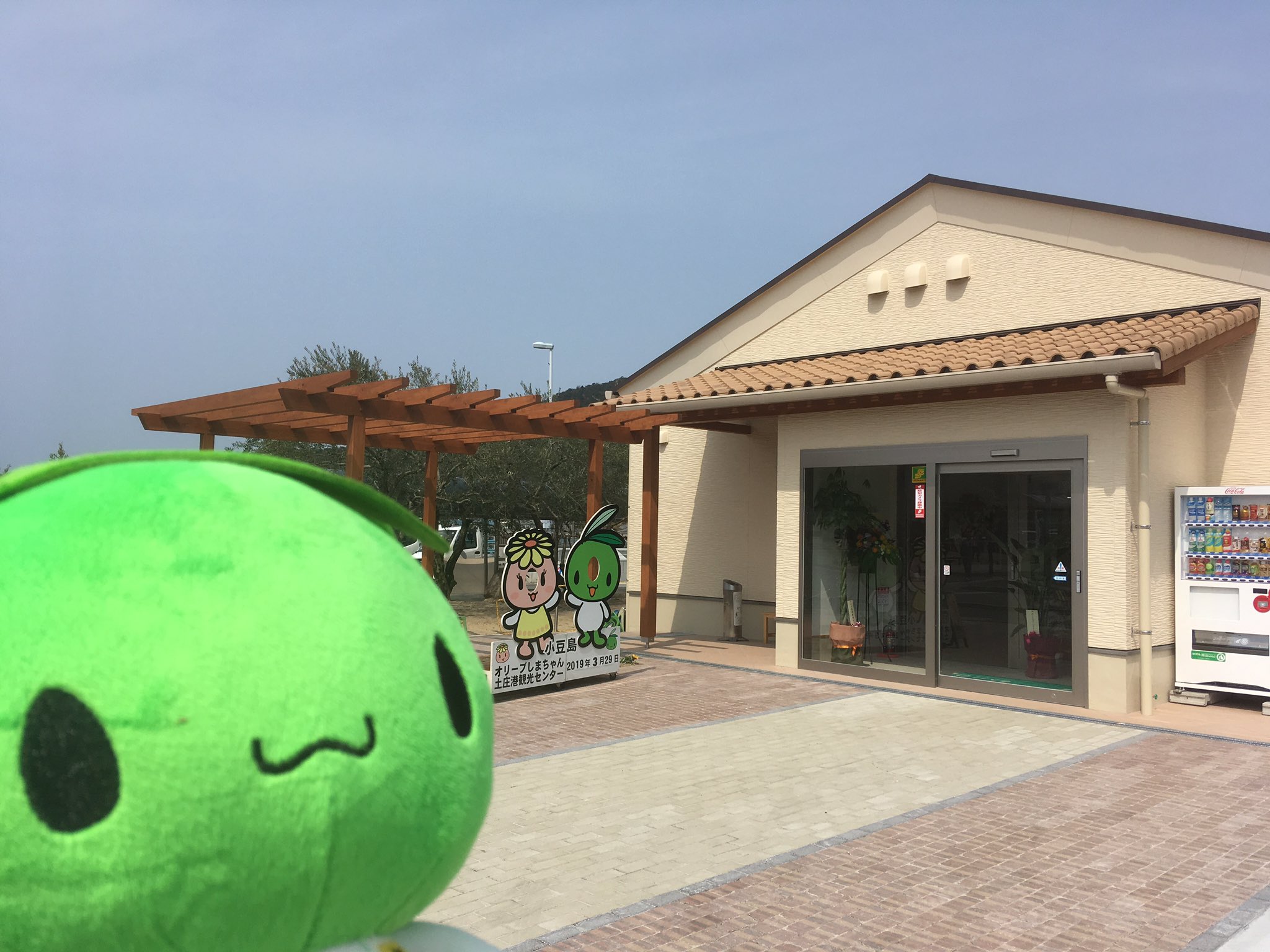 オリーブしまちゃん 香川県 小豆島 こんにちはっ とのしょう港の 観光センターさんがリニューアルオープンですっ ボクの専用コーナーも作っていただいていますっ みんな遊びに来てね オリーブしまちゃん 土庄港観光センター