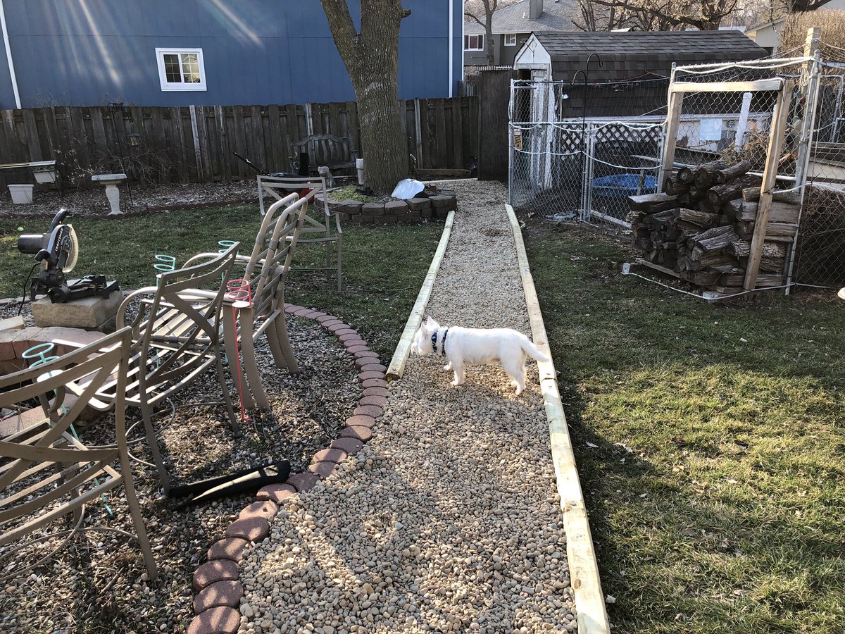 FarmPhillips's tweet photo. No more muddy path to the coop. #SpringBreakProject https://t.co/SDQdp35VTX