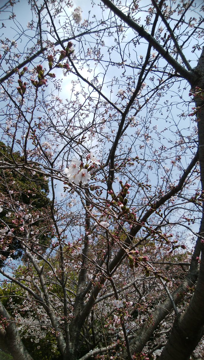 のほほん ママ まずは自己紹介 のほほん ママ まずは自己紹介