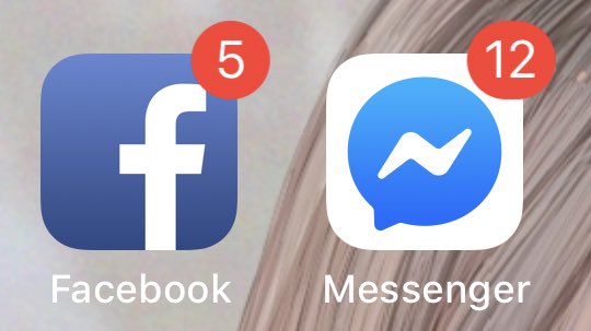 แซลม่อนพู ☼ tweet media