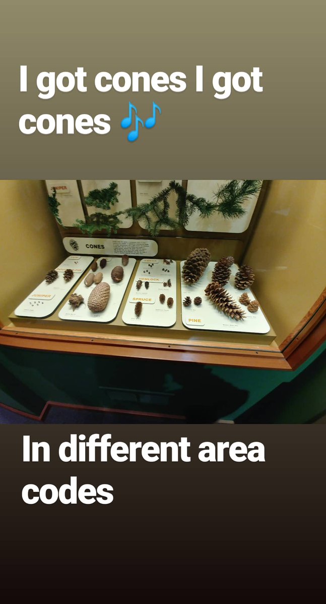 QueenPhinny0924's tweet image. #bionerds #naturenerds 🌴x🌲 OR x FL