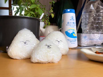 画像 / Picture