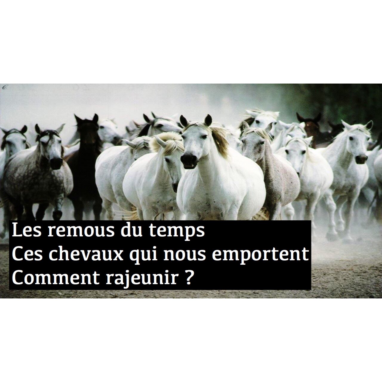 Jacques Mercier Excellent Samedi Et Bon Week End Haikus Optimisme Zen Amour Chevaux Vivre Loidelattraction Penseepositive Ligue Des Optimistes Poeme Ecriture Bonheur Temps Rajeunir Energie Courtpoeme Yolo T Co