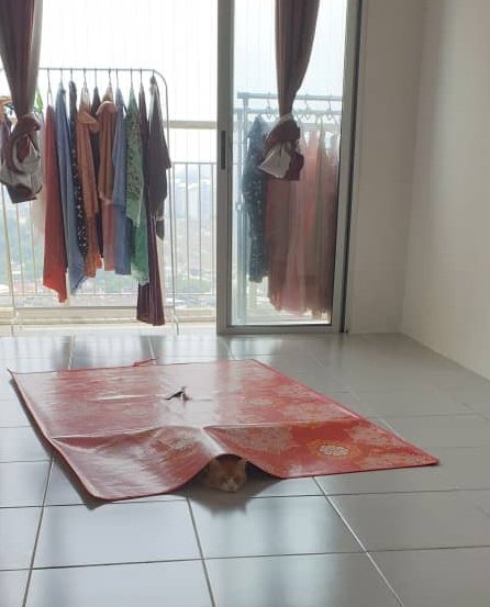 ulat_bulu_bulu's tweet photo. Oyen dan tikar fav beliau 😤 https://t.co/WhQHirBvg5