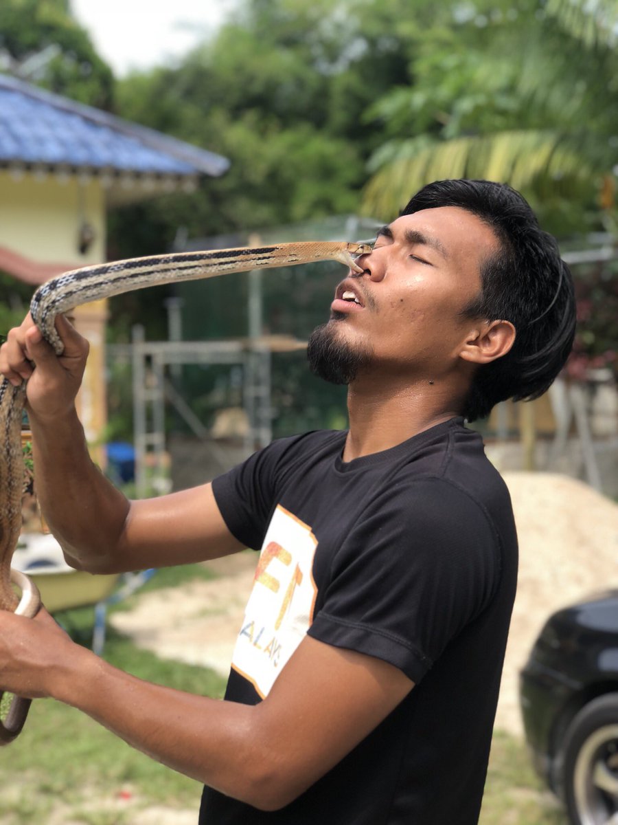 Mar On Twitter Habis Tu Kalau Mcm Ni Ular Sama Dah