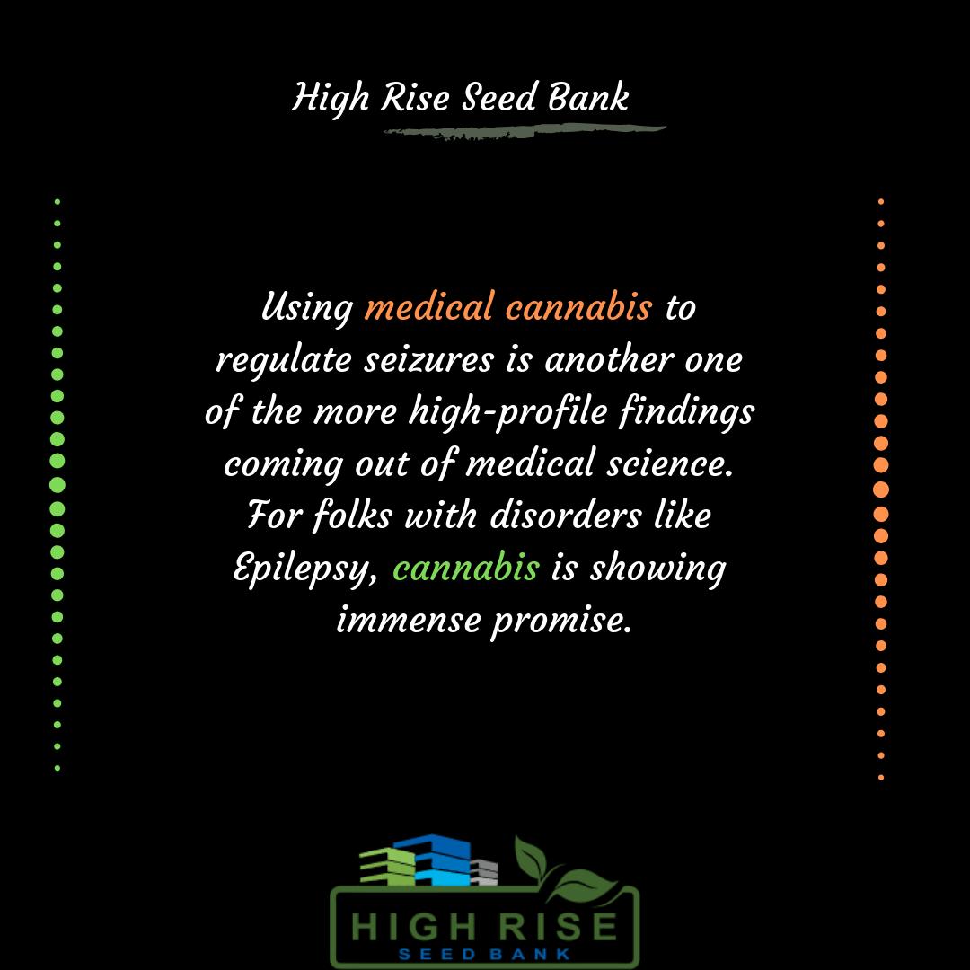 highriseseed's tweet photo. We are talking about benefits to public health, to the economy, and to each and every person who develops a positive relationship with this therapeutic plant.
#cannabisinfo #cannabis #strainfinder #w420 #medicate #THC #CBD #edibles #cannabiscommunity #MedicalMarijuana https://t.co/QrMu5J3nYB