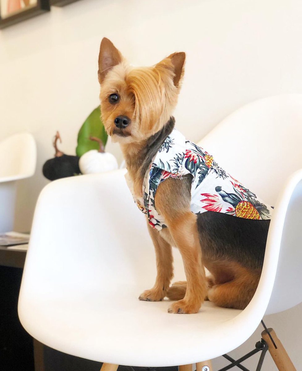 JayceBaron's tweet image. *Caption this*