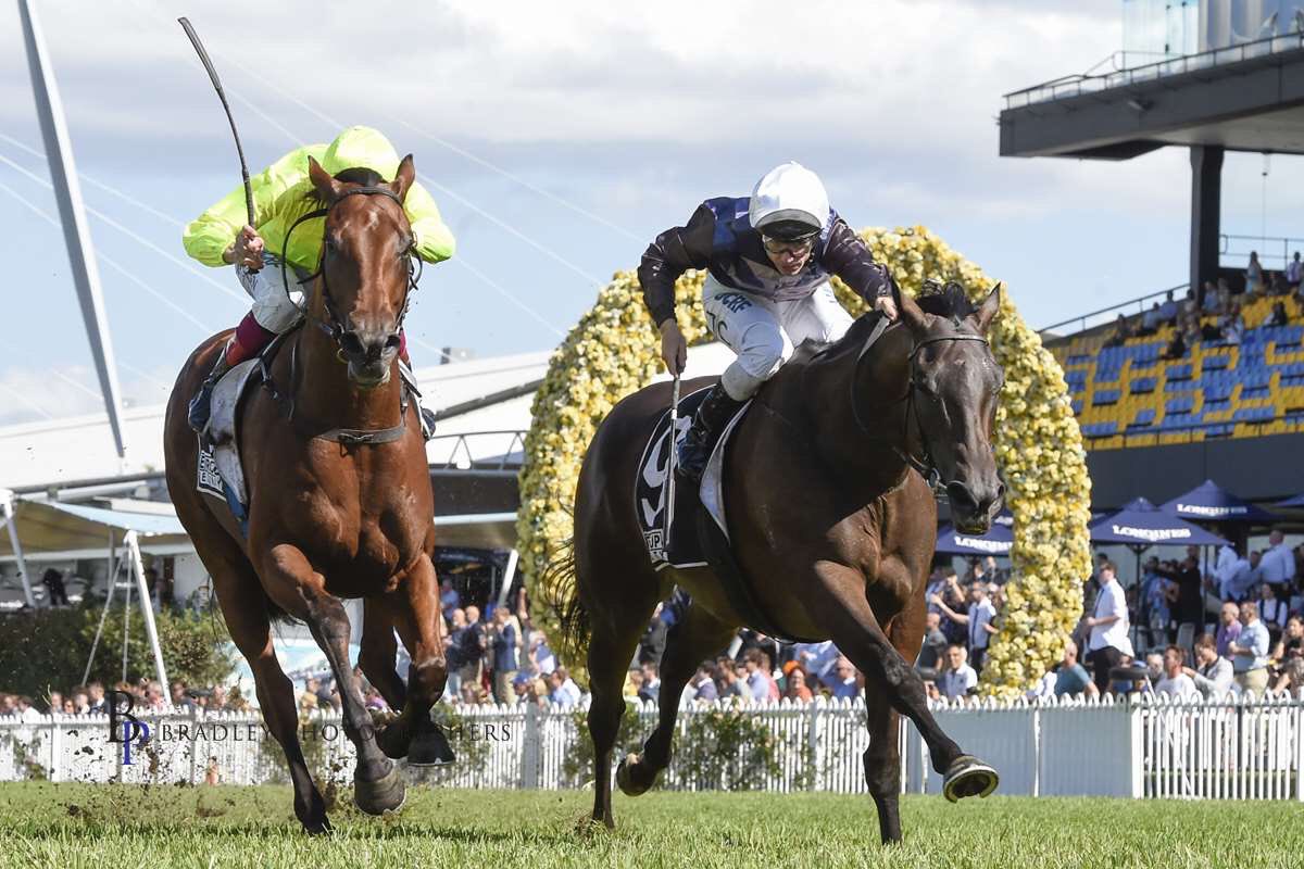 jason1coyle's tweet photo. ⁦@atc_races⁩ #sirensfury #goodmare https://t.co/I9bQBCZxkx