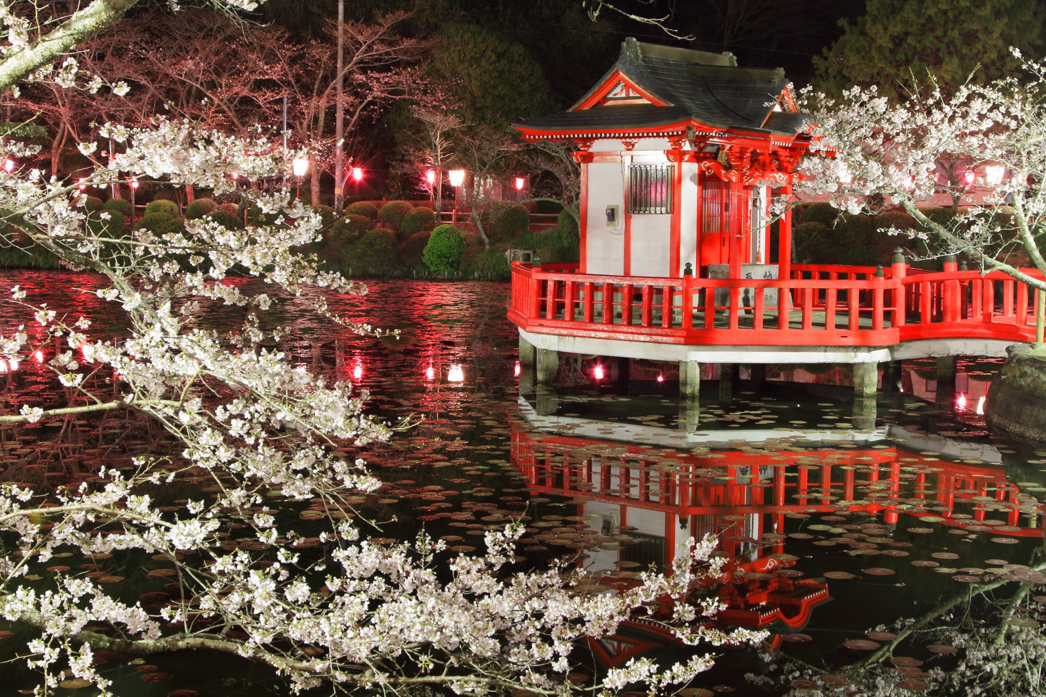 茂原公園桜祭り Twitter Search Twitter