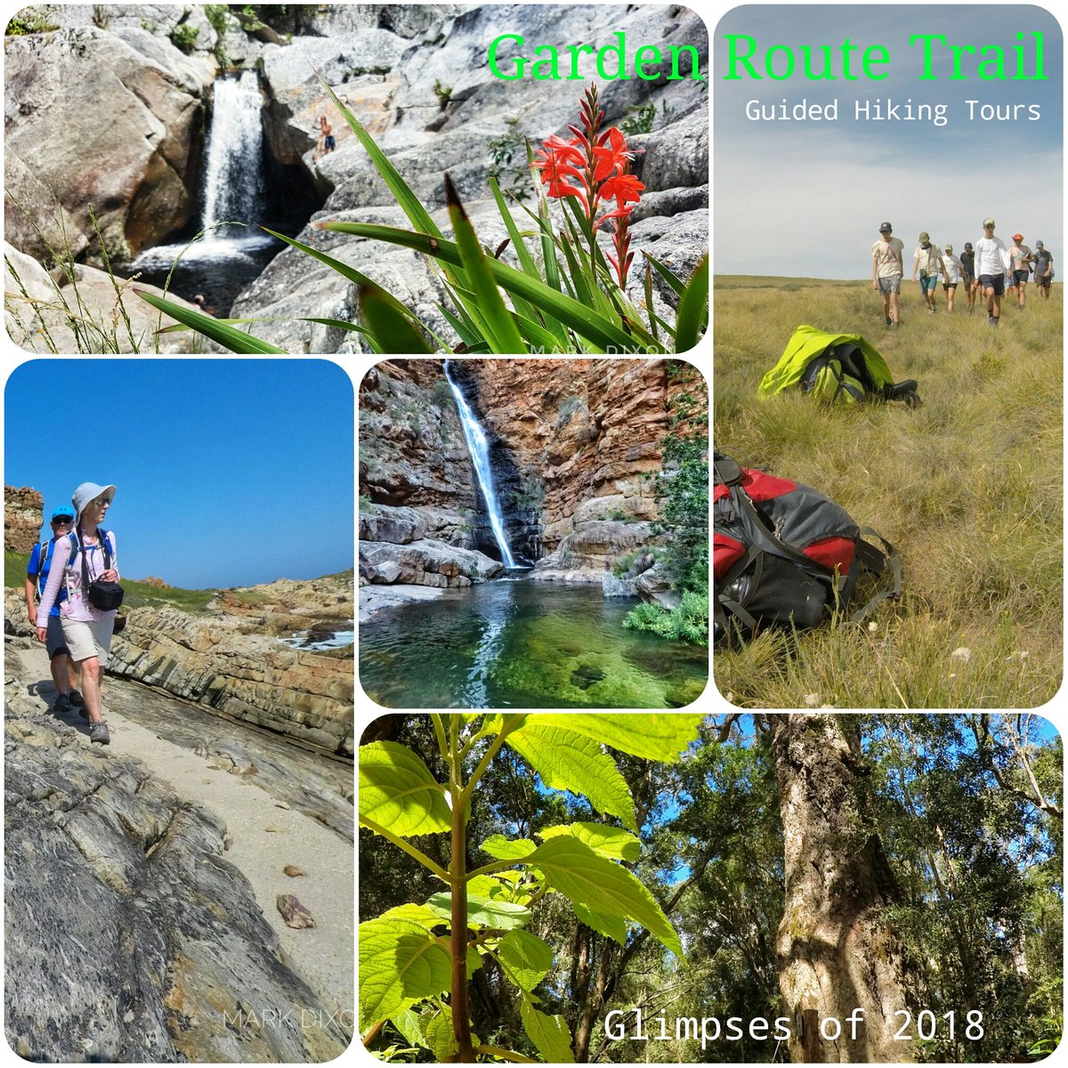 CoastalWalk's tweet photo. Shore to Summit and beyond guided hiking tours in the #GardenRoute and #Karoo. #trekking #forest #coastalhike #ecoadventure #slackpacking #WTM #travel #SedgefieldSA #ShutterWalk @hotspots2c @DOVERonSEA @TheLoftsKnysna #MDguiding https://t.co/daPZ32PX1a https://t.co/iWUH903uil