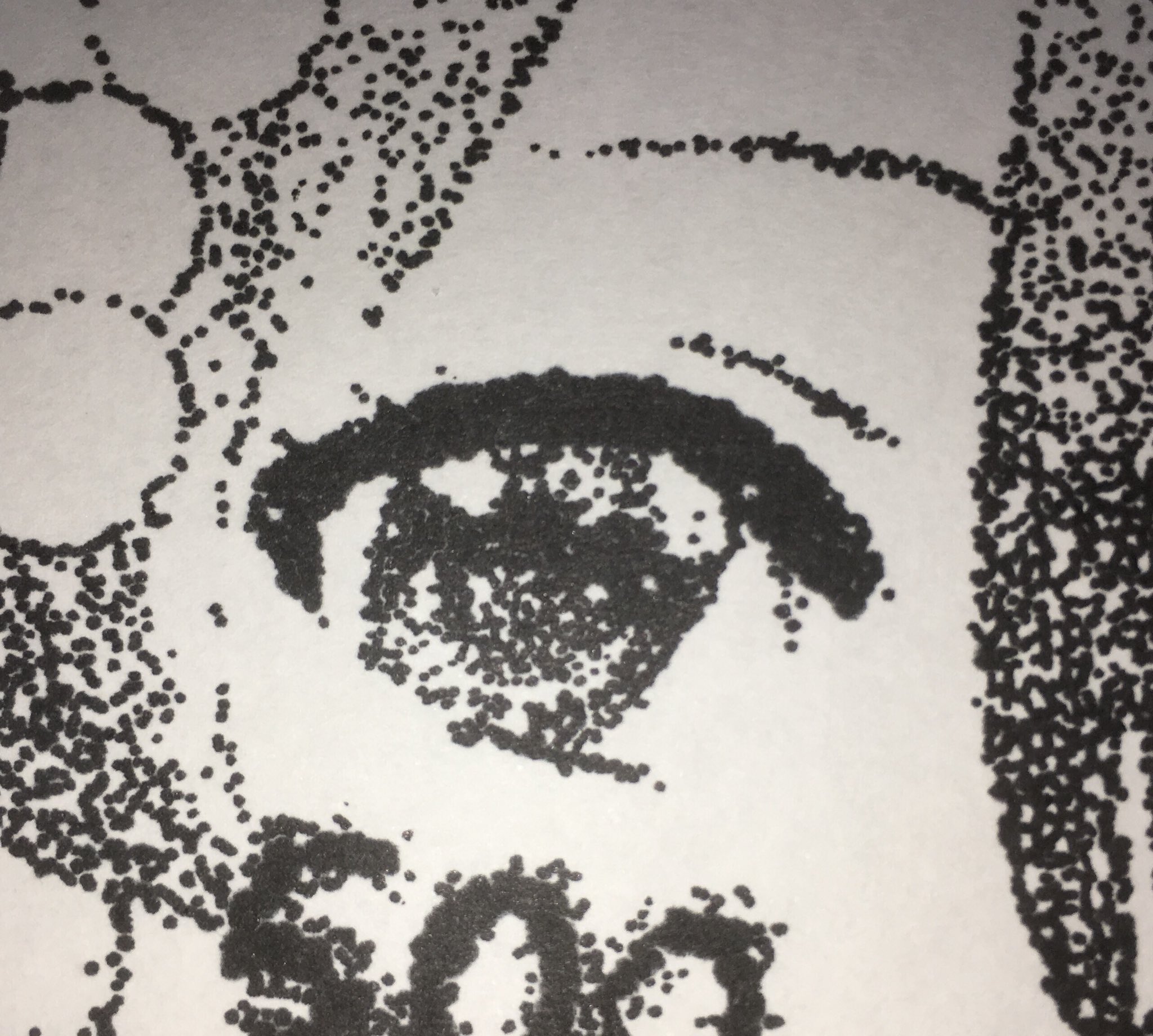はりえもん 油性ペン点描画で江戸レナさん えどれなー500人記念٩ W و 髪飾りを桜にしておきました いろんなジャンルを大人っぽく歌い上げるのが魅力的 英語もつよつよ おススメは シンクロ二ティ ヒトガタ Redfraction 江戸レナ えどれ
