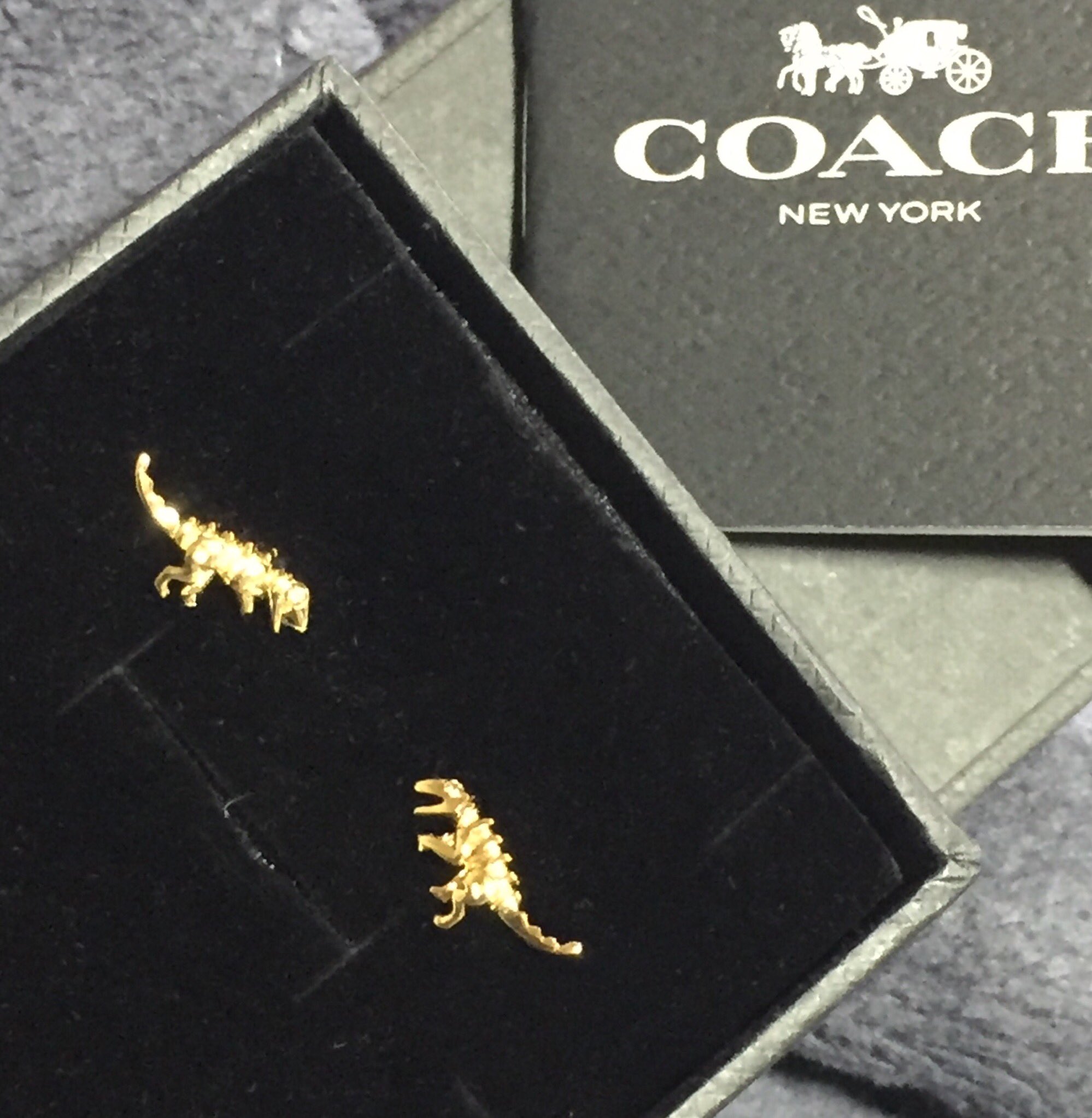 生田晴香 恐竜おねえさん ファンの方からいただいたcoachの恐竜ピアス W ありがとうございます で 嬉しいのだが ピアス開いてないから付けられない W ふぇぇ イヤリング派 誕生日プレゼント T Co 8bmskikvwm Twitter