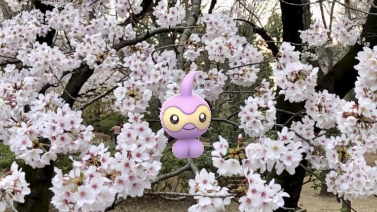 ojaru_pokemon's tweet image. 桜とポワルン

#GOsnapshot
#castform
#pokemon #pokemongo
#ポケモンgo
#ポワルン
#色違いポケモン
#めざせポケモンgoマスター
#りそのポケモンARテク
#桜