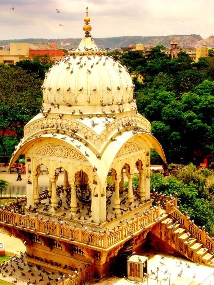 blondieangel17's tweet photo. Namaste everyone from Birla Temple in the vivid and royal Rajasthan.
May you have a blessed weekend ahead😊😊😊
#incredibleIndia https://t.co/zRwhxj6zC8