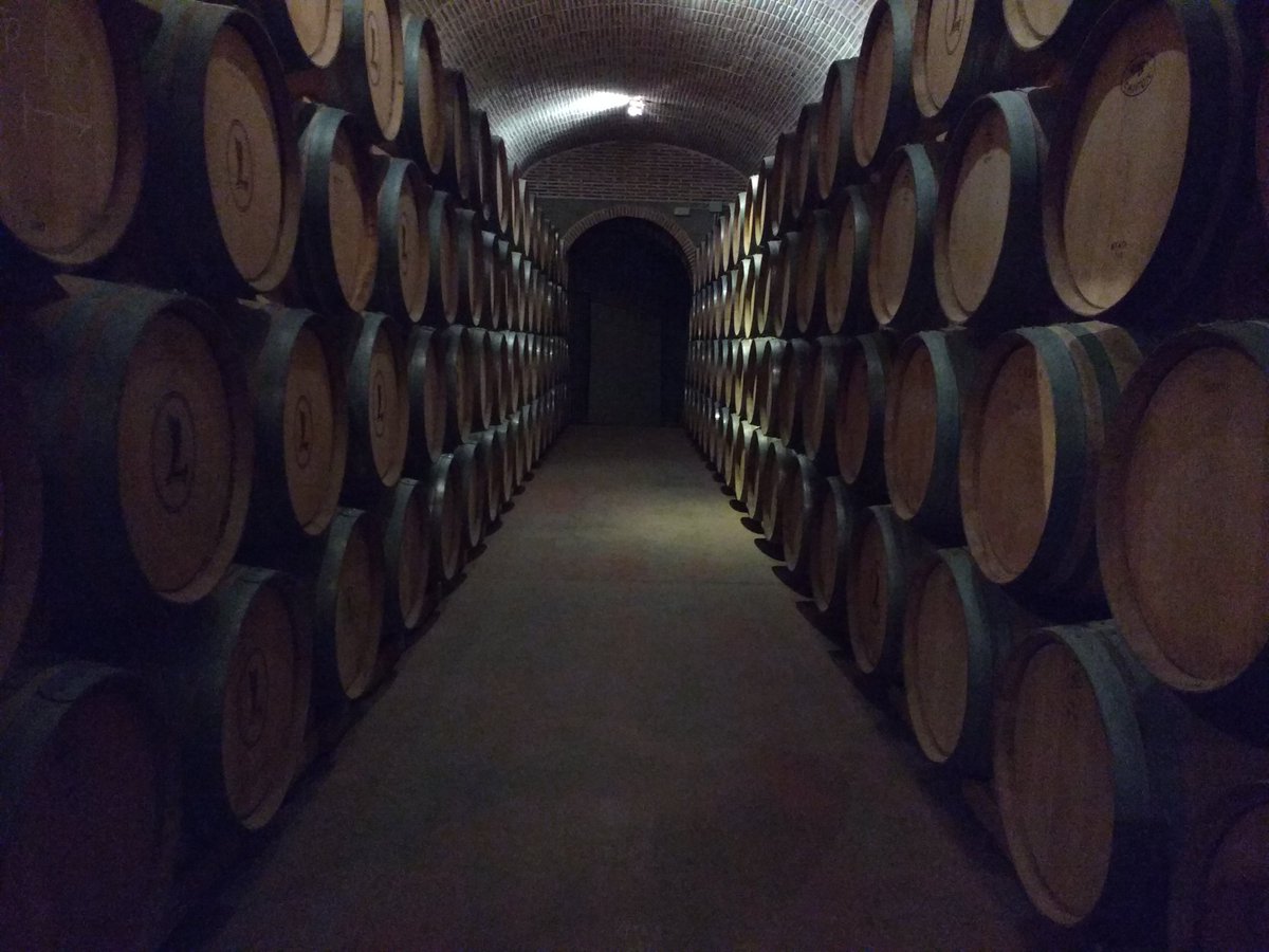 Un vino muy mimado el que hacen en las 80 Hectáreas de Bodega <a href="/La_Legua/">La Legua</a>. Descansa en barricas de roble.