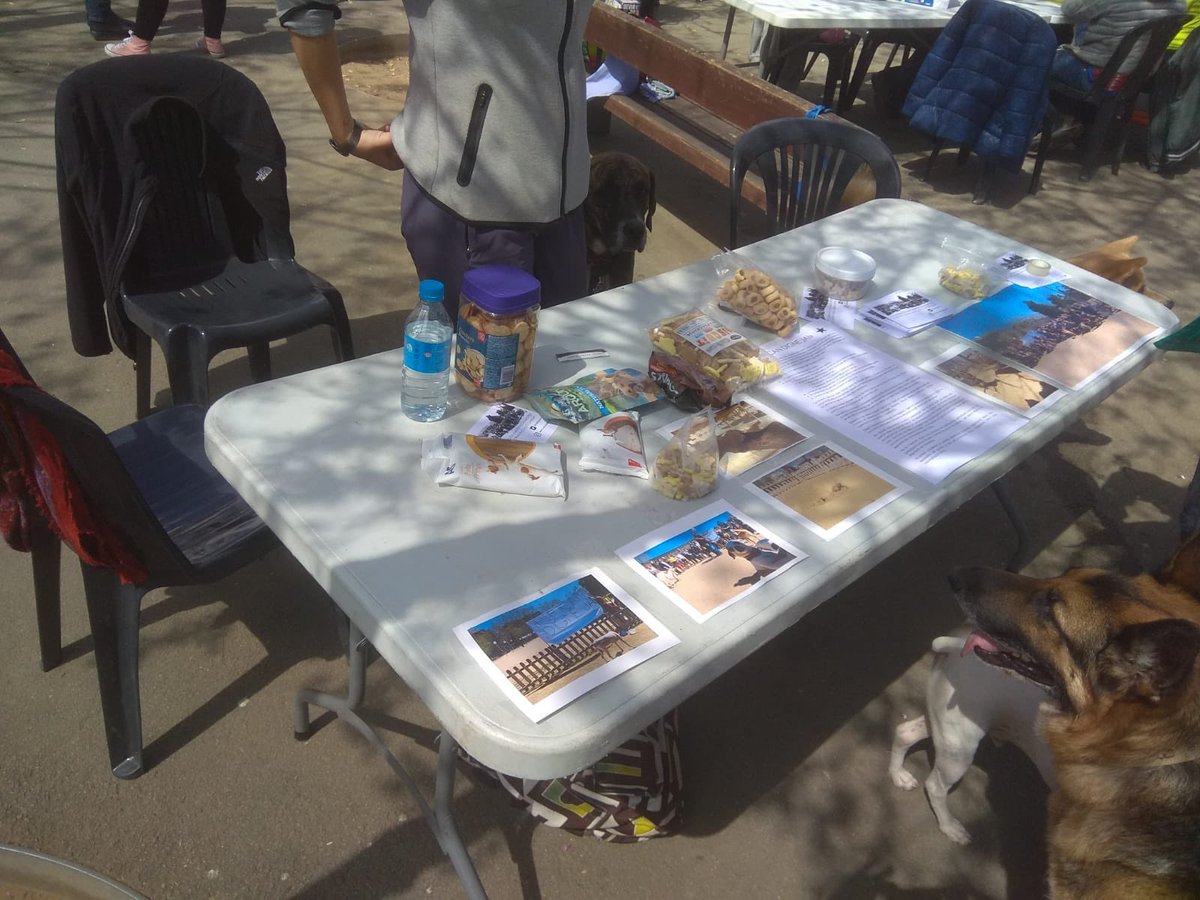 Encara ets a temps d’aproparte al <a href="/MercatImporta/">Mercat Importa</a>