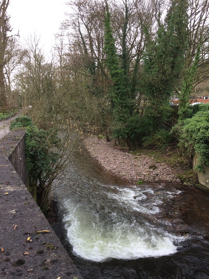 okeeffeml's tweet photo. Latest work a design featuring original artwork for an interpretative sign.  Passed on this morning to the hardworking Sallybrook Village Tidy Towns Group.  What an amazing resource they have on their doorstep! https://t.co/fAEBDzBS4j