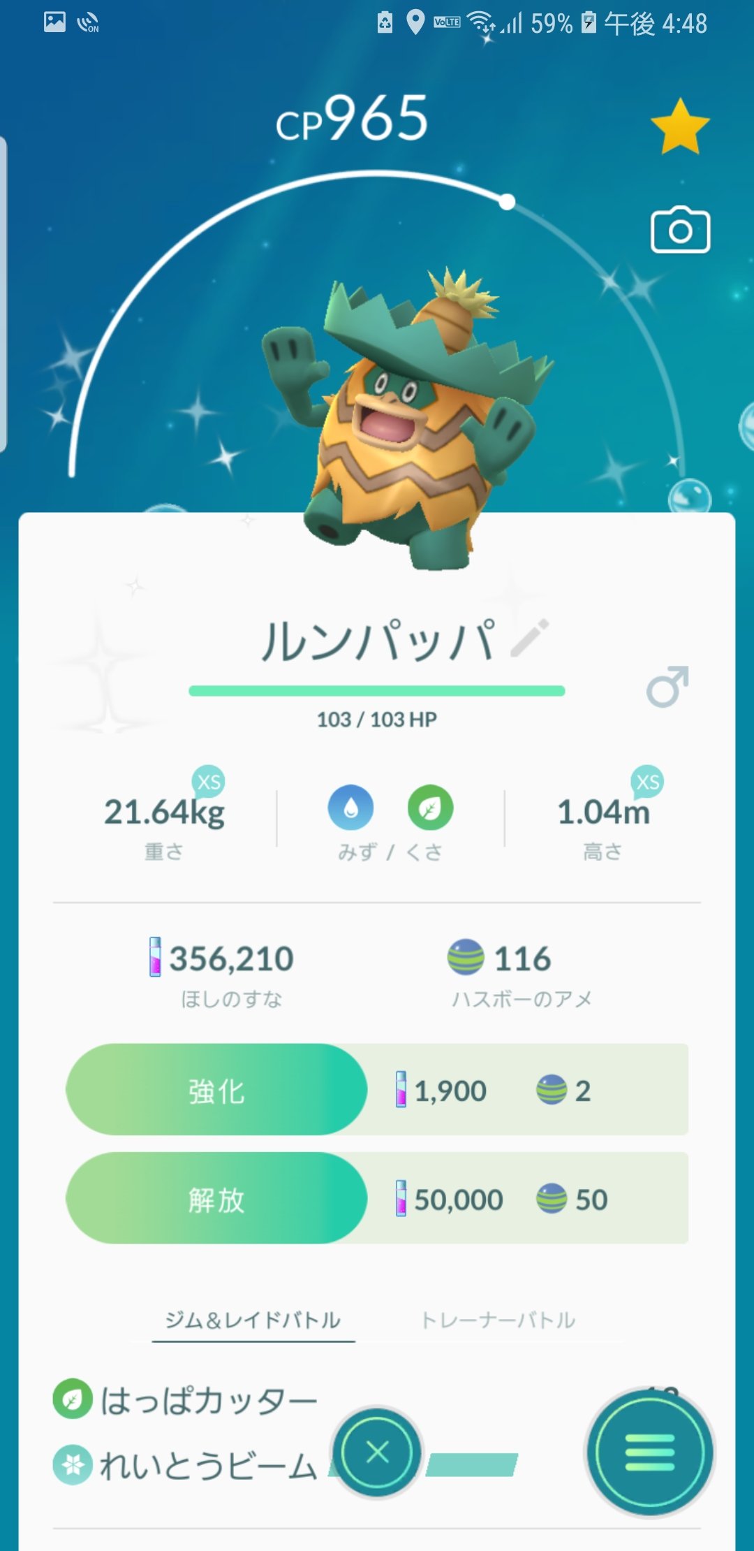 Pokemon Master In 浜松 ammm Twitter