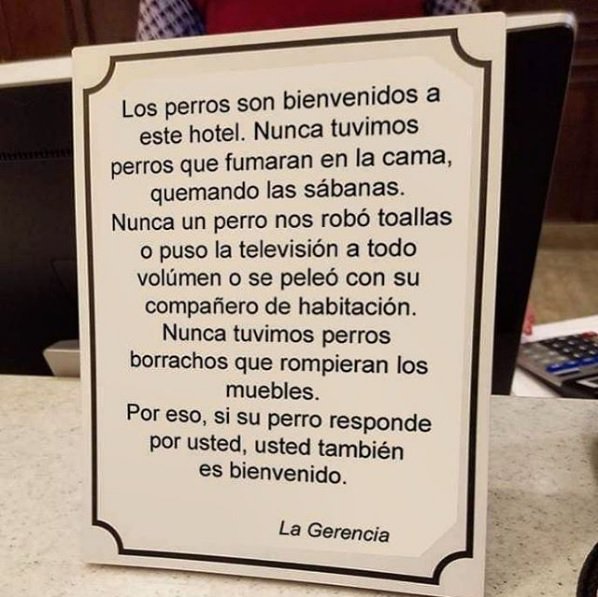 Iker Casillas hace viral el cartel “dog friendly” de un hotel de Asturias. El cartel se encuentra en la recepción de un establecimiento hotelero de Villaviciosa y comienza con un “los perros son bienvenidos al hotel”. 🐶🐶
<a href="/IkerCasillas/">Iker Casillas</a> <a href="/TurismoAsturias/">TurismoAsturias</a> <a href="/MONTERODILES/">Aptos.Monterodiles</a>