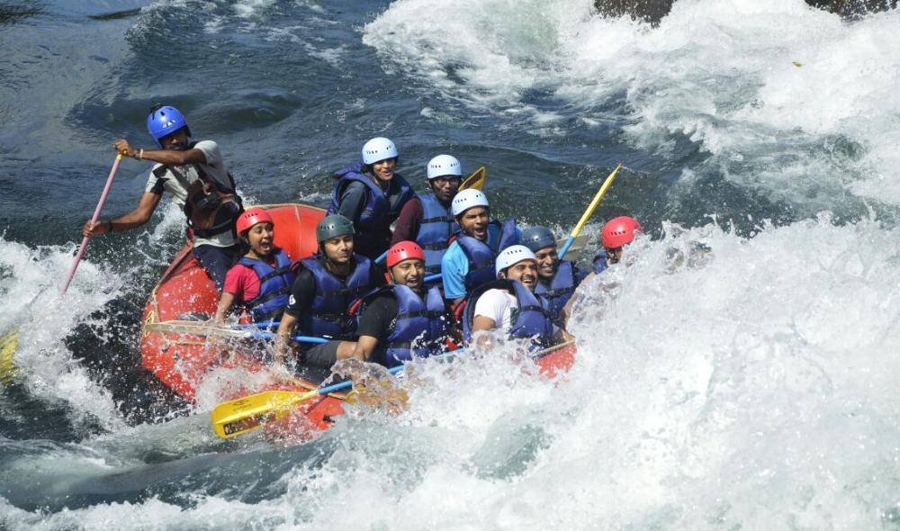 Banjara & Gypsy tweet media