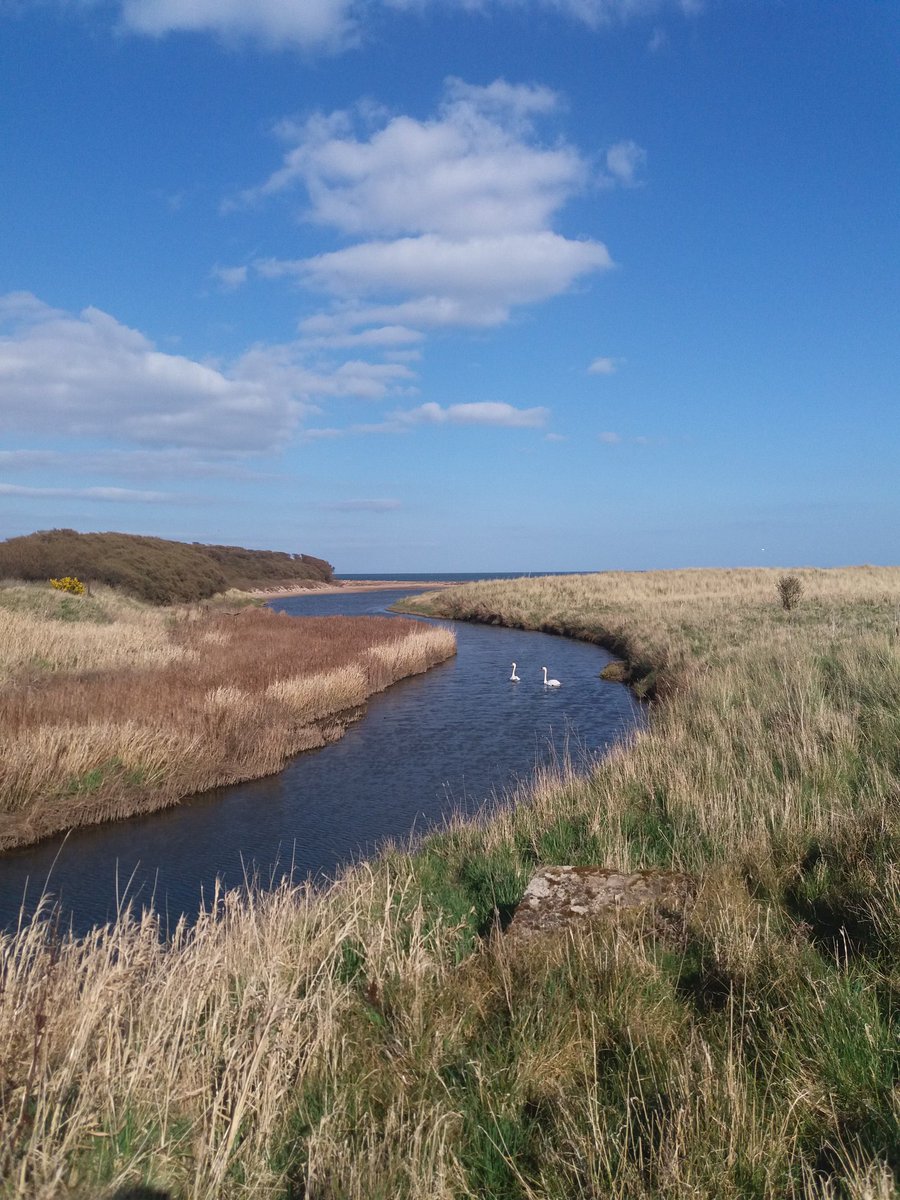 Lovely to have these two back again .