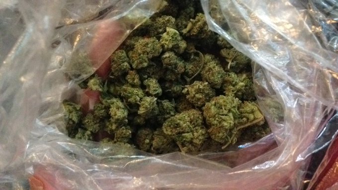 That's ONE thing I love about #VanCity is our #bcbud https://t.co/86hBpKbLPj<a href="/tag/vancity"class="tags">#VanCity</a><a href="/tag/bcbud"class="tags"><span>#bcbud</span></a>