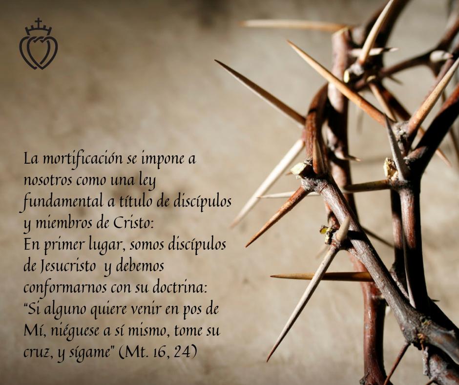 FSSPX Actualidad on Twitter: FSSPX Actualidad on Twitter: